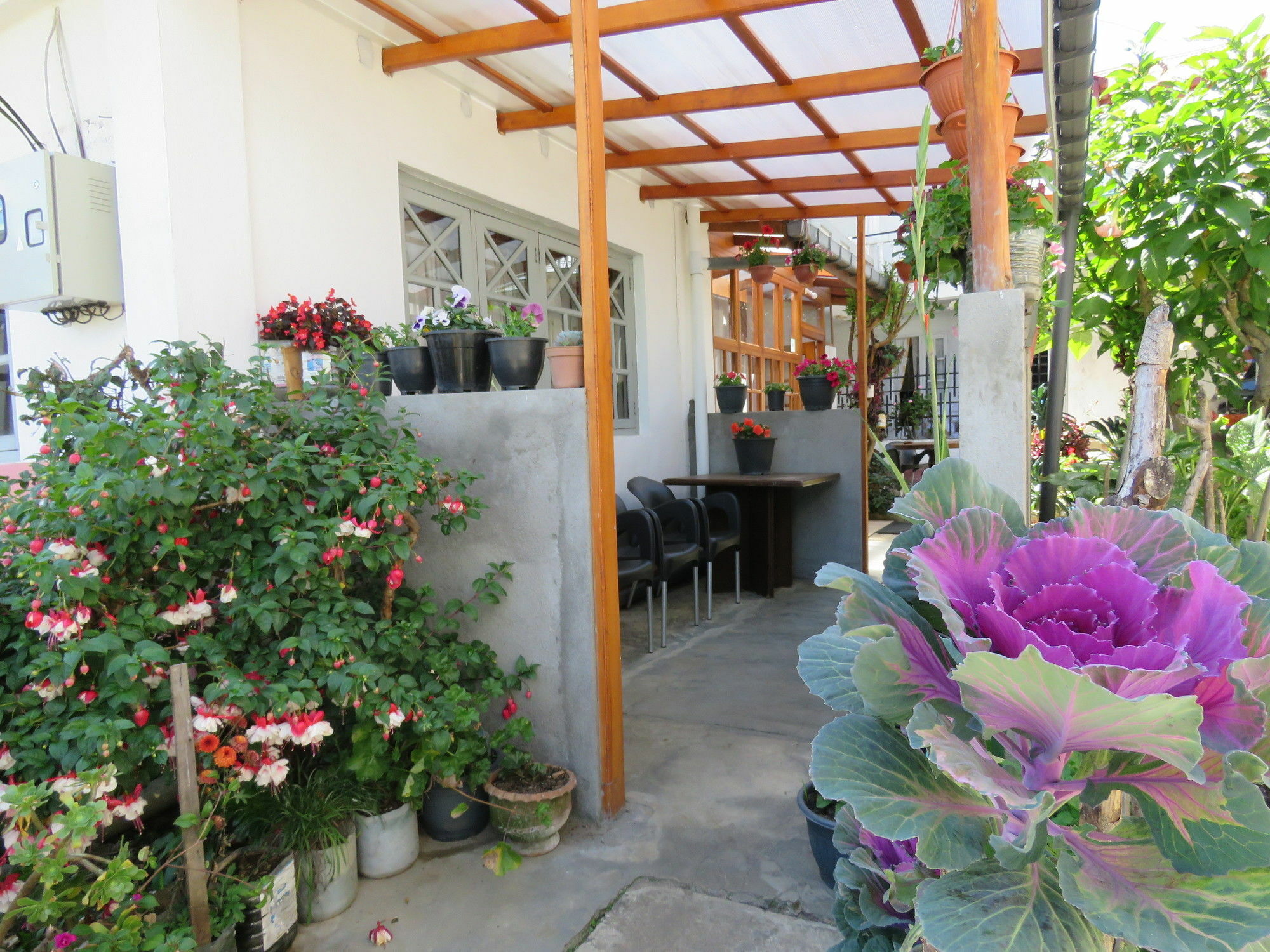Carnation Rest Hotel Nuwara Eliya Exterior photo